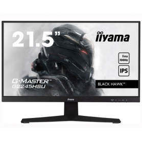 Moniteur LED  IIYAMA  G MASTER   21,5 Pouces 75HZ