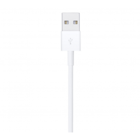 Câble Lightning vers USB (1 m) Apple iPhone