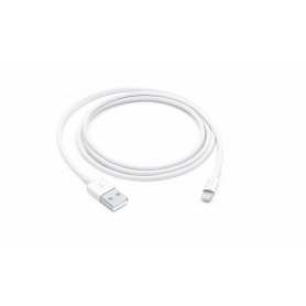 Câble Lightning vers USB (1 m) Apple iPhone