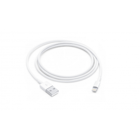 Câble Lightning vers USB (1 m) Apple iPhone