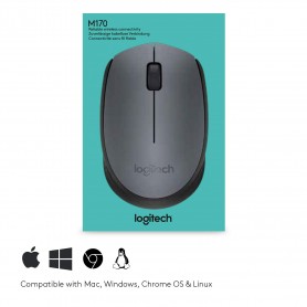 LOGITECH SOURIS SANS FIL BLUETOOH M170