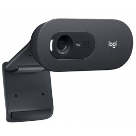 Webcam Logitech C505e HD Business (Noir)