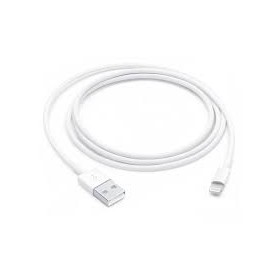 Apple origine Lightning to USB (2m)