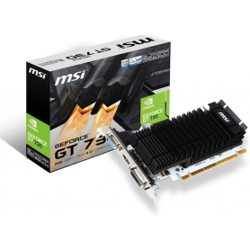 Carte graphique MSI GeForce GT 730 2GO Low Profile FANLESS